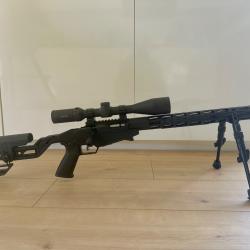 Ruger Rimfire 22lr