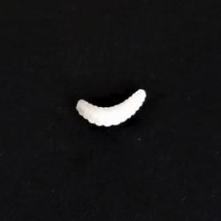 24 ASTICOTS colori blanc