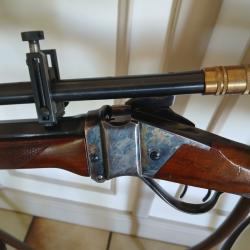 Sharps 45/70 pedersoli