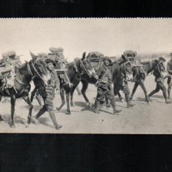 section de mitrailleuses alpine cpa chasseurs alpins
