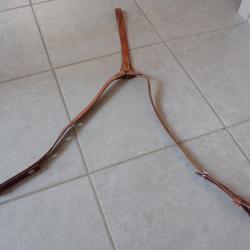 1957 Brellage, porte charge en cuir pour ceinturon suisse ; Uniforme troupe