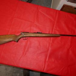 Carabine SMFM en 22Lr