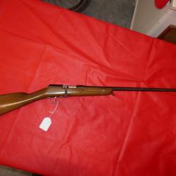 Carabine de jardin en 22Lr canon lisse en bel état