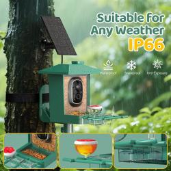 Mangeoire Oiseaux Exterieur Camera Solaire: 2K HD Camera WiFi Exterieure sans Fil - Nichoir Mesange