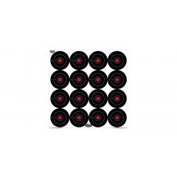 LOT DE 12 CIBLES DIRTY BIRD | BIRCHWOOD CASEY