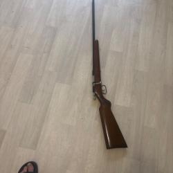 Carabine manu arm calibre 410