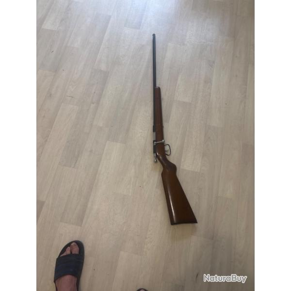 Carabine manu arm calibre 410
