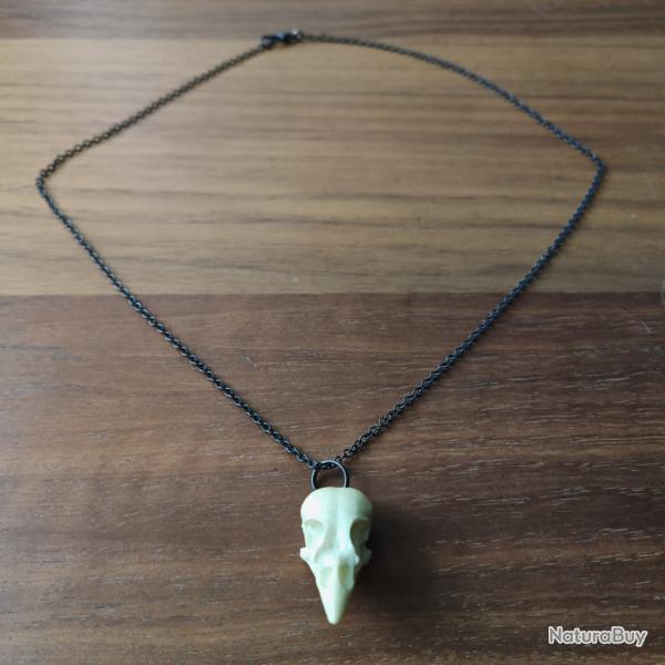 Collier Pendentif Crane Oiseau Moineau Resine Phosphorescent Taxidermie