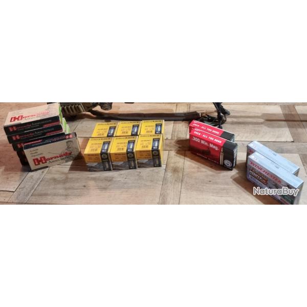 Munitions 300 win mag