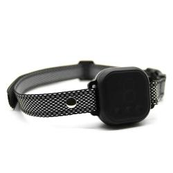 Collier anti-aboiements 8 niveaux rechargeable USB IP67