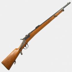 Carabine Steyr Werndl M 1873 Cal. 11.15x42mmR