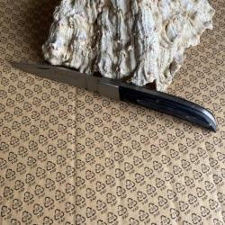 COUTEAU PRADEL EVOLUTION    10 (2025)  n