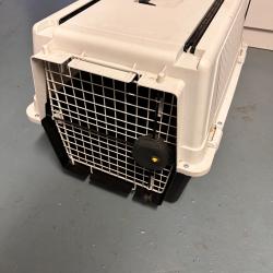 Caisse à chien.