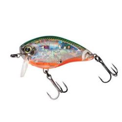 Leurre Yo-Zuri 3DS Crank SSR 5cm Holographic Tennessee Shad