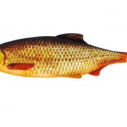 Leurre Souple Westin Ricky the Roach 7cm Real Rudd A l'unité