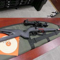 PACK  CARABINE WINCHESTER XPERT 22LR " livrée montée ciblée " REELLEMENT DISPONIBLE EN STOCK
