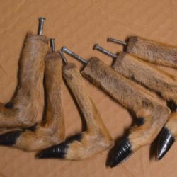 Lot de Patte de chevreuil idéal chasseur