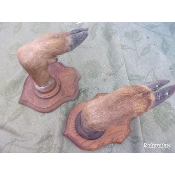 porte-fusil / rtelier 1 arme en patte