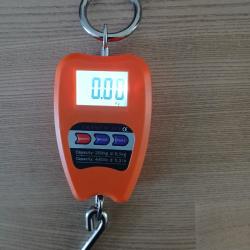 Peson digital 200 kgs