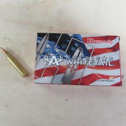 Boîte de 20 balles HORNADY American Whitetail 300 WM 150 gr Interlock