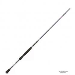 Canne Spinning Abu Garcia Iaconneli Ike Signature 2-15