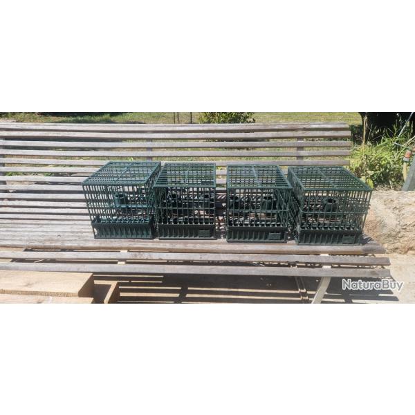 Cages pour appelants