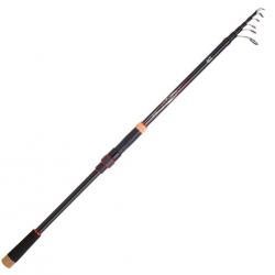 Crossfire SL 2,40 m 15-60 g 24 T SL Canne télescopique Daiwa