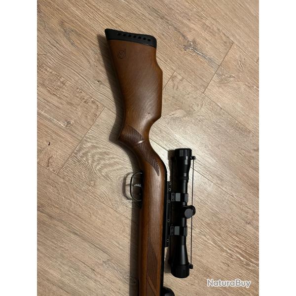 carabine  plomb gamo fast shot chargeur de 10 19.9 joules