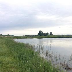 Hutte de chasse dans le marais de Merlimont