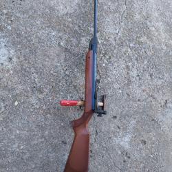 Carabine Diana 35 avec dioptre match