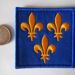écusson patch badge drapeau fleur de lys France velcros mâle au dos.