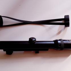 Lunette schmidt Bender 1.25/4x20