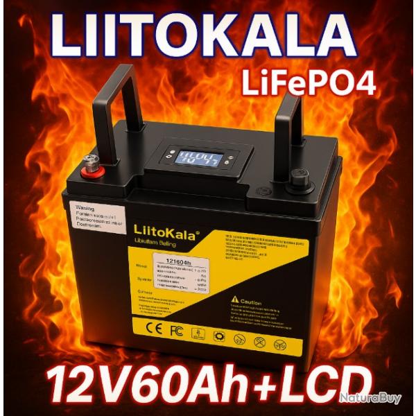 Batterie LiFePO4 12V 60Ah nergie Solaire Camping-Car Bateau Moteur Onduleur Randonne Chasse Peche