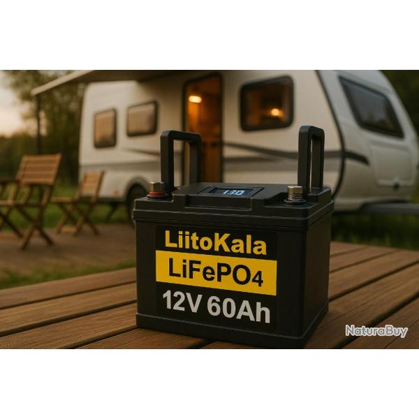 Batterie LiFePO4 12V 60Ah nergie Solaire Camping-Car Bateau Moteur Onduleur Randonne Chasse Peche