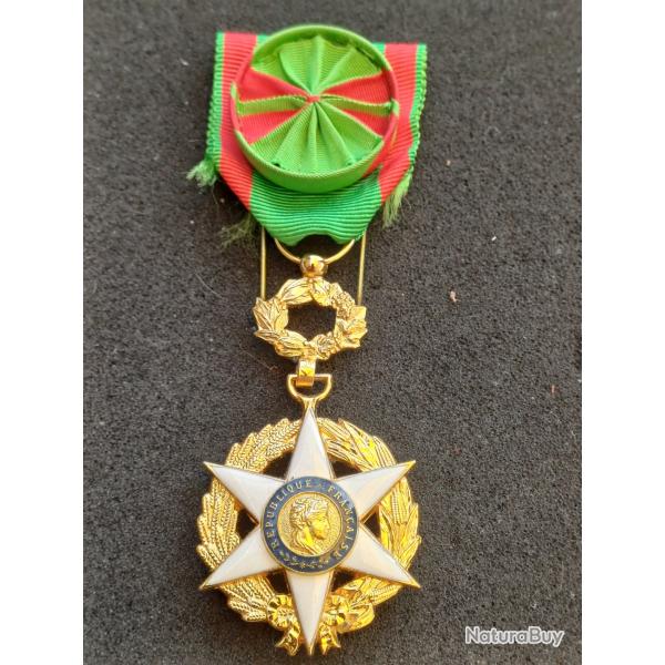 Mdaille Croix d'Officier de l'Ordre du Mrite Agricole - 1883