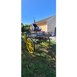 voiture hippomobile ânes ou chevaux