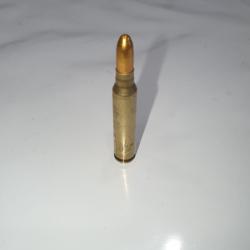 1 cartouche 223 remington (G.F.L) - 5.56