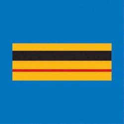 Grade Police Municipale - Bleu / Brigadier Chef Principal