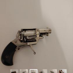 Mini bulldog 8 92 phoenix
