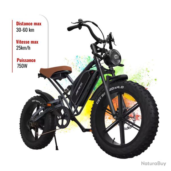 Vlo lectrique JANSNO X50 Adulte 750W 48V 14Ah 20" Fat Bike Tout-Terrain Hommes