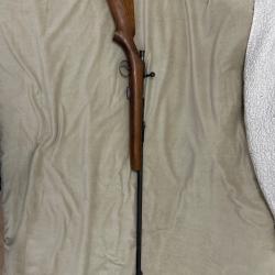 Carabine BSA « sportsman five » en 22 lr