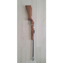 Carabine 22lr avec options