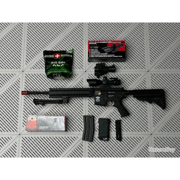 CM16 R8-L G&G TRS BON TAT