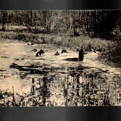 senlis la chasse à courre dans le valois,  chasse à courre, équipage, vènerie , cerfs