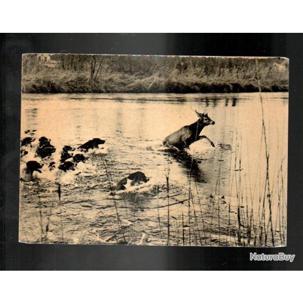 senlis la chasse  courre dans le valois,  chasse  courre, quipage, vnerie , cerfs , chiens