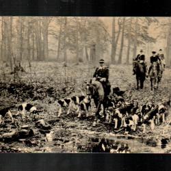senlis la chasse à courre dans le valois,  chasse à courre, équipage, vènerie , cerfs , meute