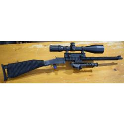 Carabine 22lr, chiappa Little badger avec lunette 4-16x56, bipied, bon etat