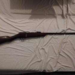 Carabine 22 LR DAMON