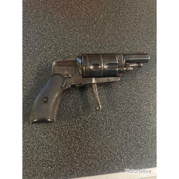 Revolver velodog
