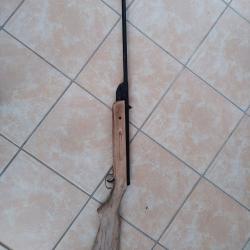 Carabine à plomb